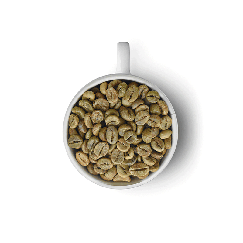 Café Verde a Granel. Calidad Robusta Natural. 69 kg.