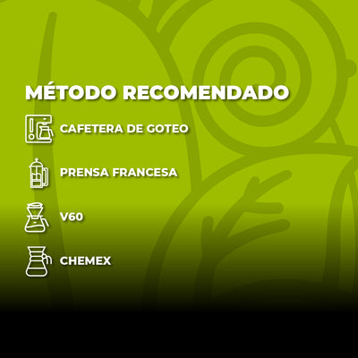 Vivendi Grano Descafeinado (340 g.)